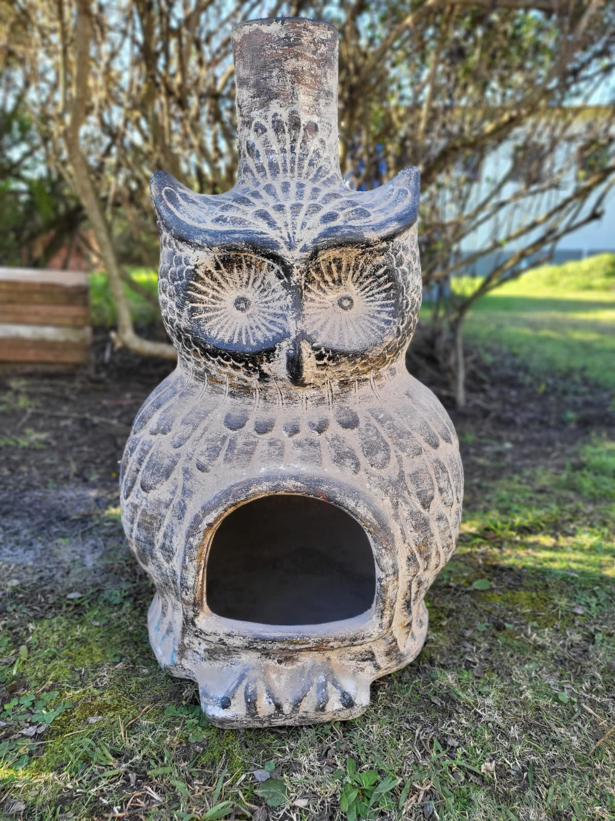 Owl